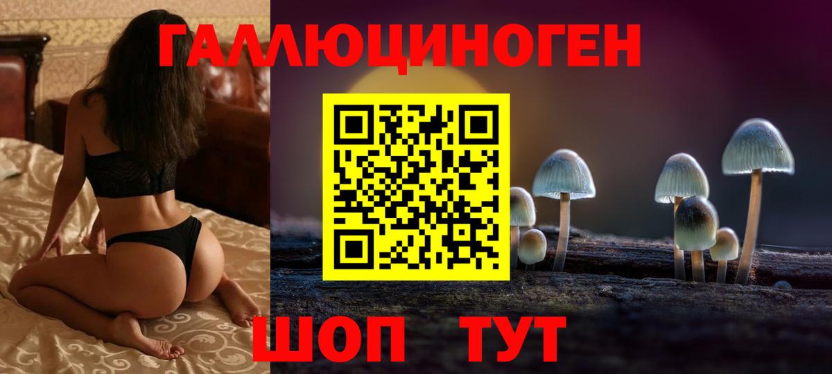 Псилоцибиновые грибы мицелий Таганрог